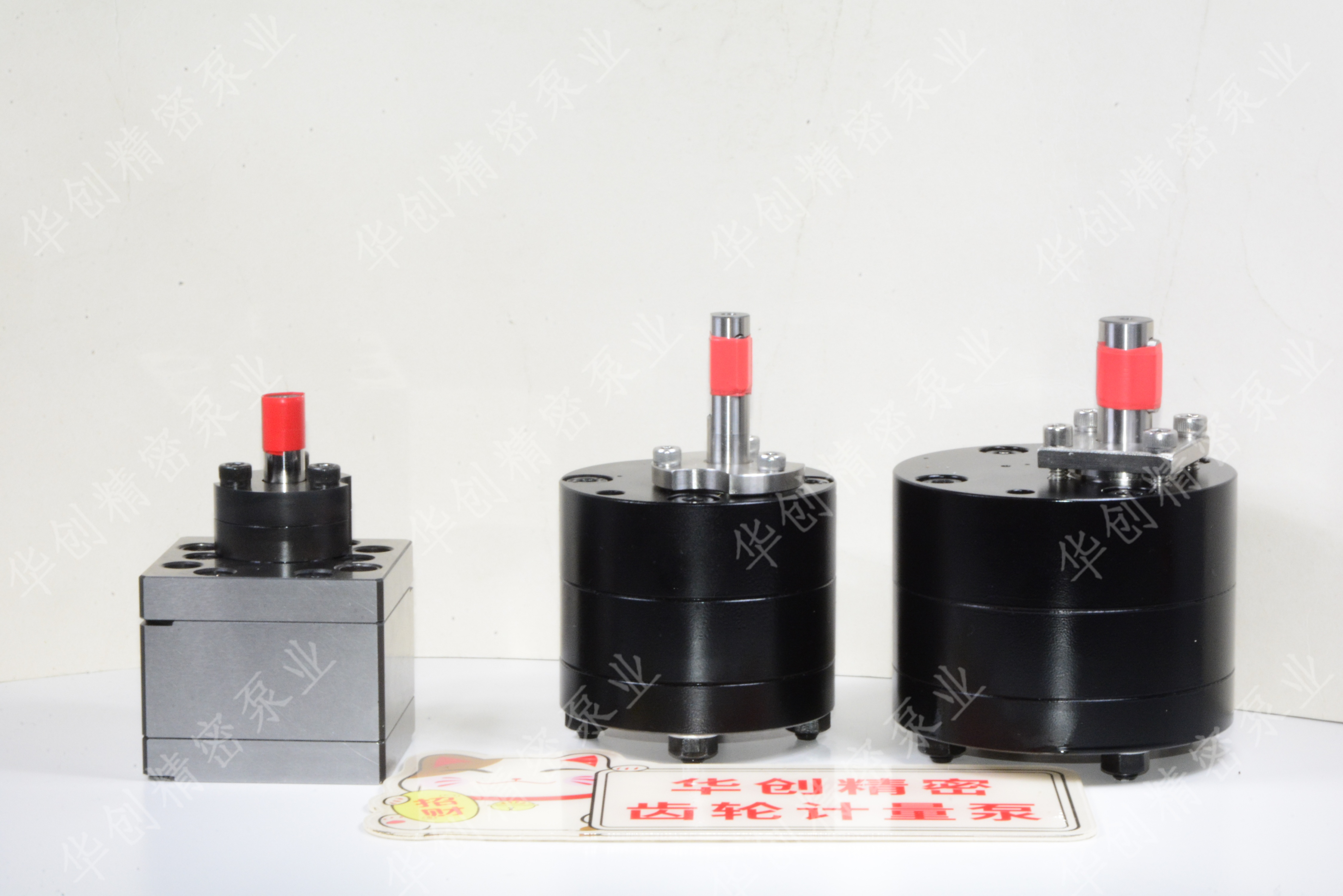 1764743136710902.jpg _DSC5536.JPG