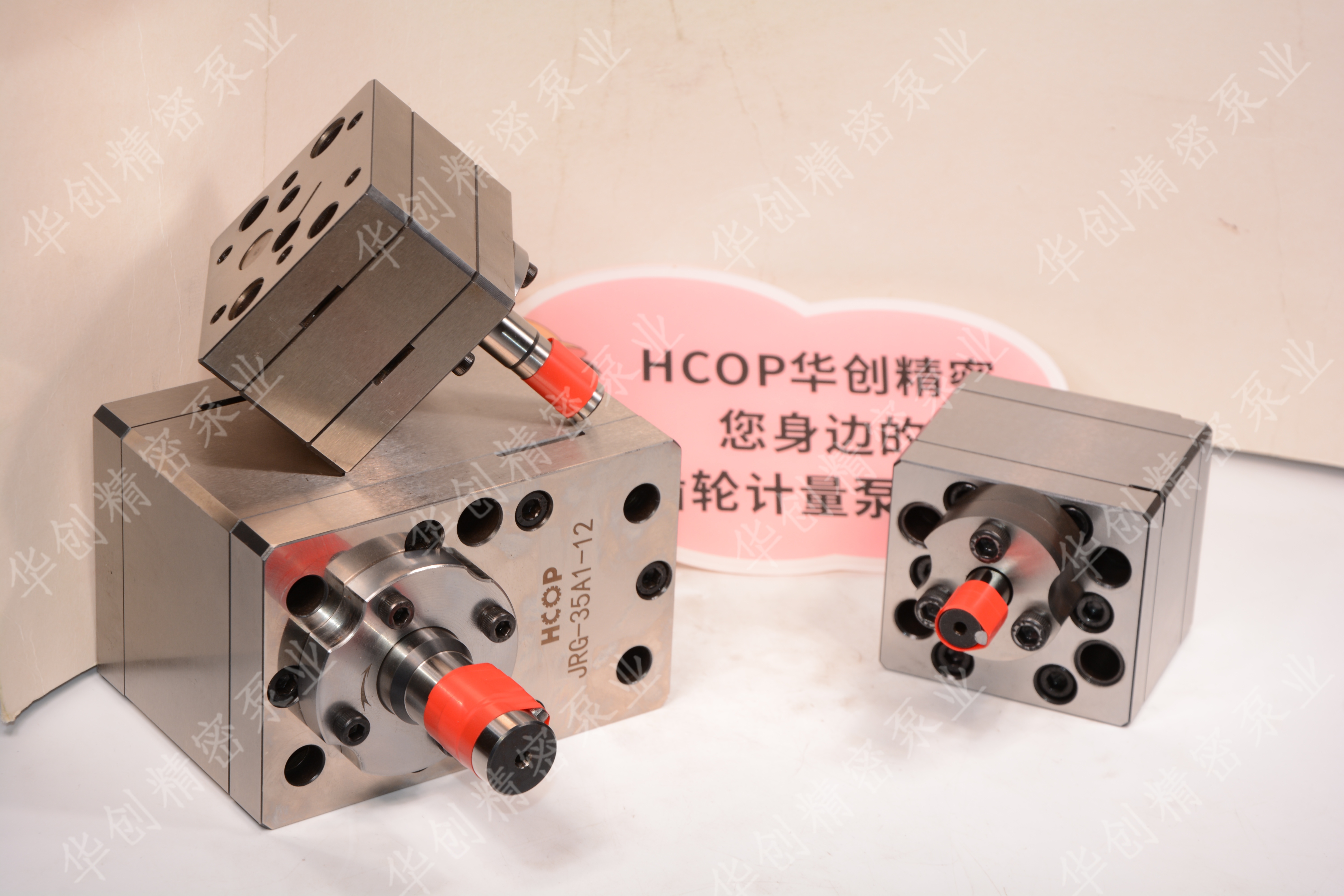 1764752615157238.jpg DSC_3988.JPG