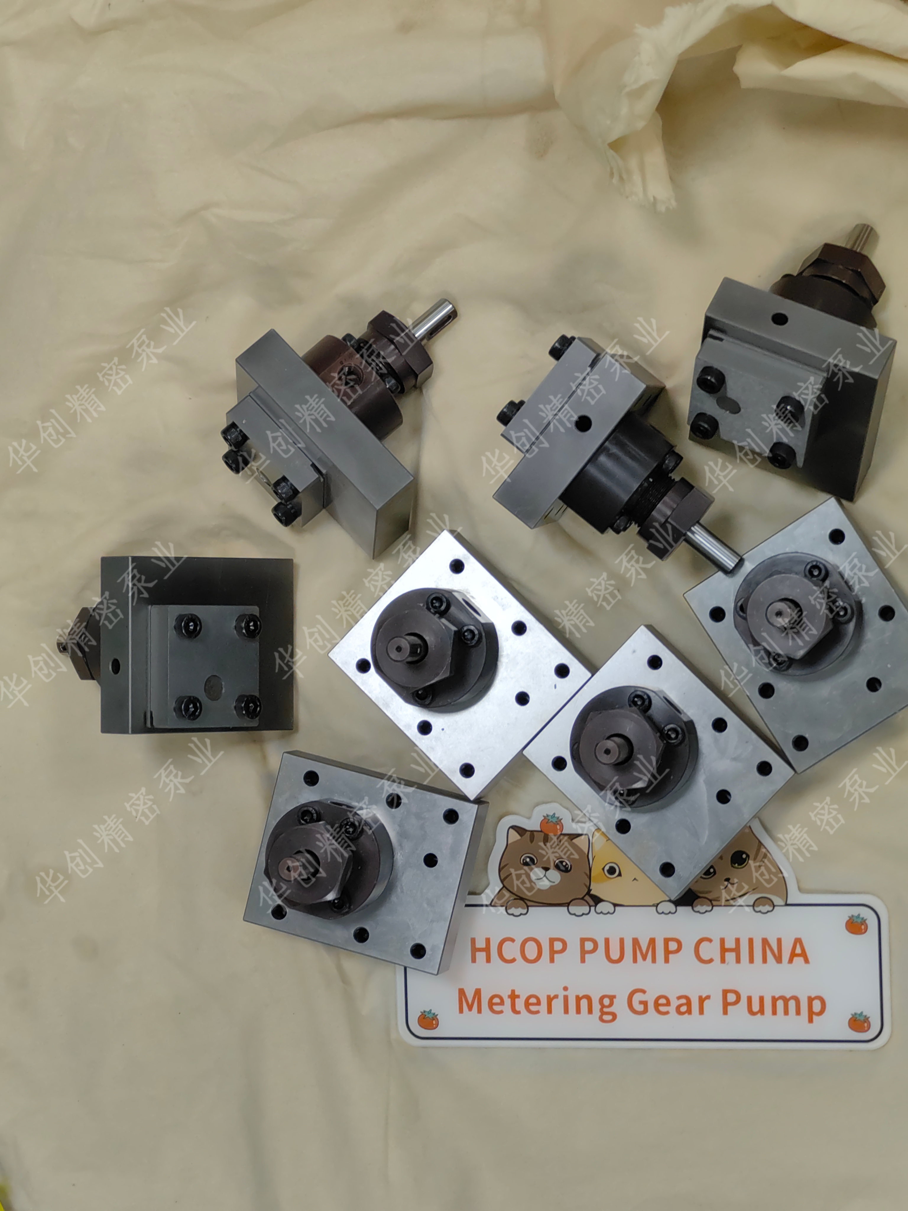 1773371904718118.jpg IMG_20250731_105231.jpg