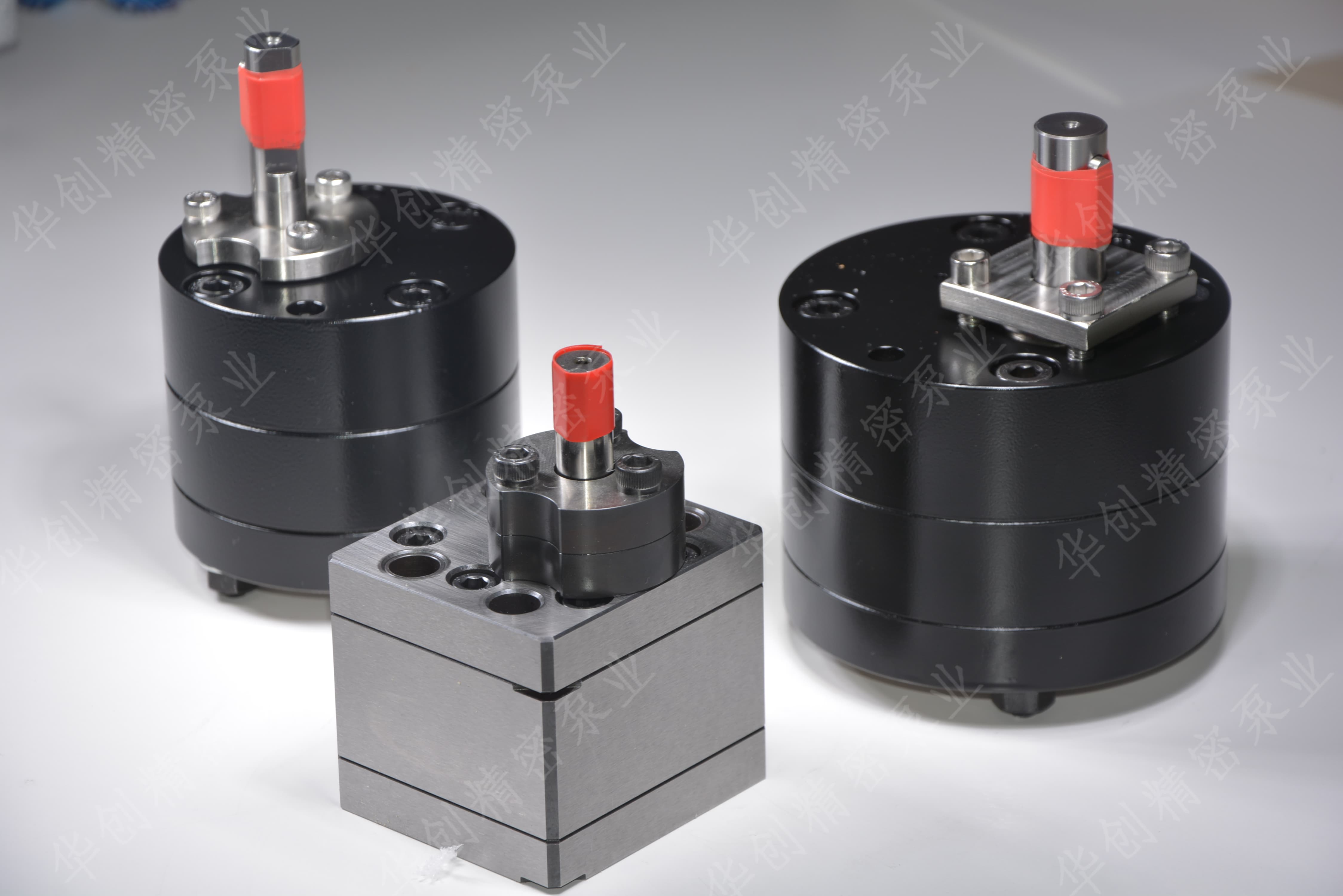 1775008785519418.jpg _DSC5501.JPG